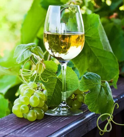 Enológico Vinho Verde – Região de Basto